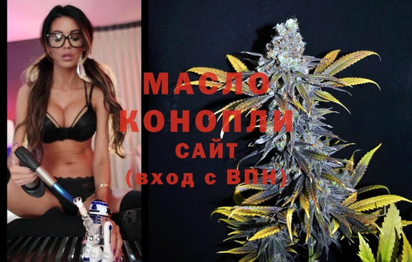 молекула духа Верхний Тагил