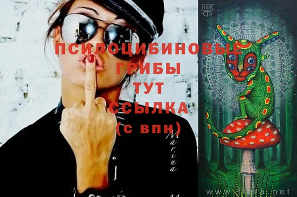хмурый Бронницы