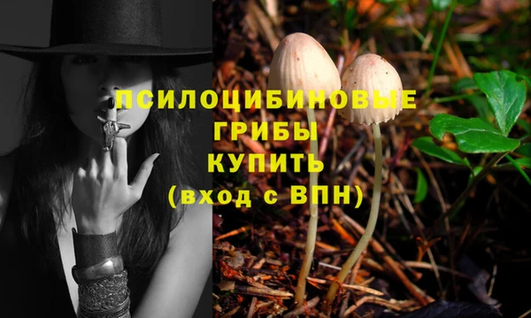 экстази Сосновка