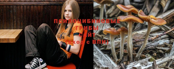 соль ск Бугульма
