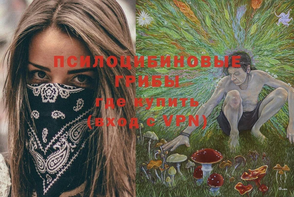 молекула духа Верхний Тагил
